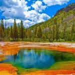 Yellowstone National Park