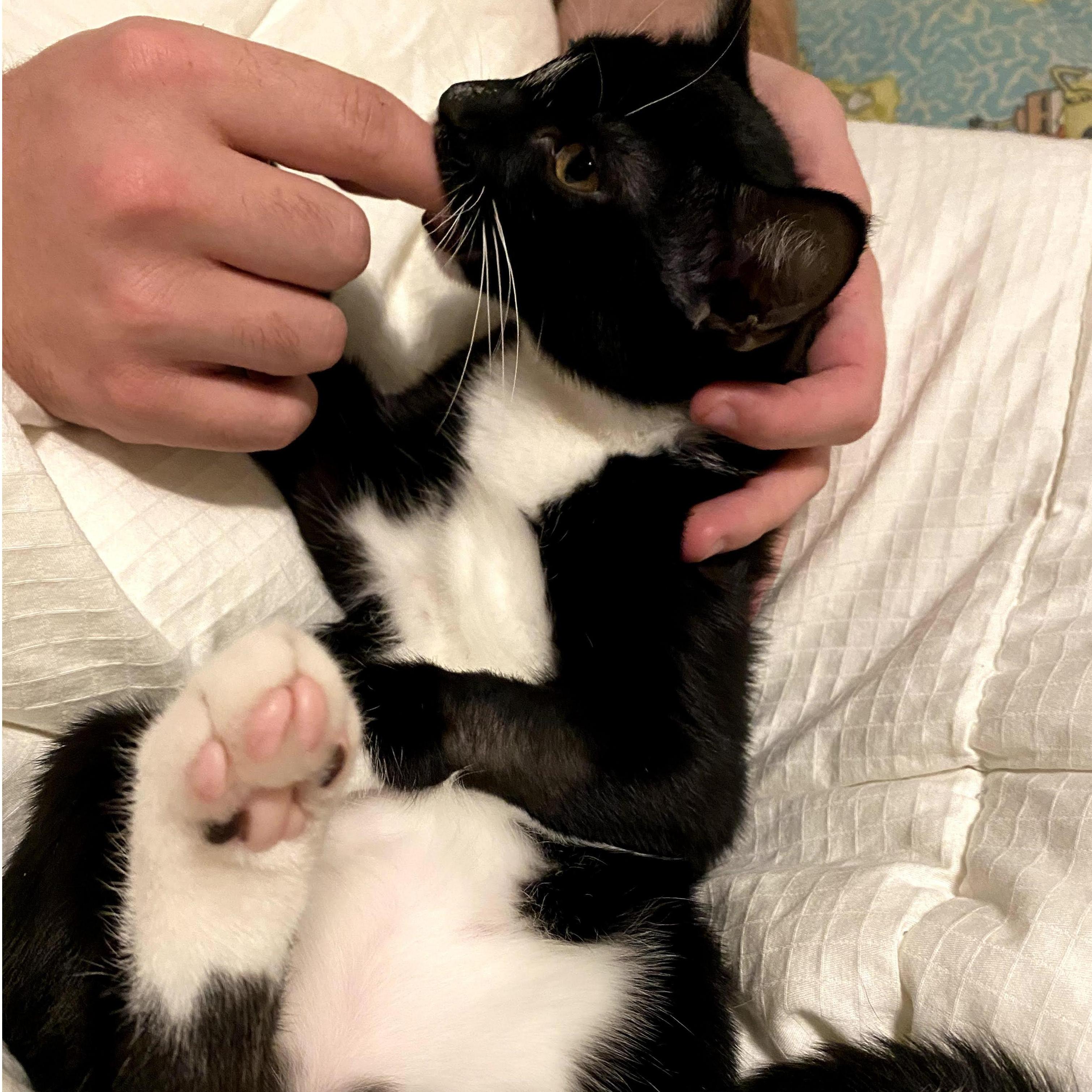 Our first child together (We don't have a picture of both of us with Caesar, but oh well).