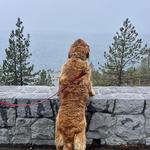 Tahoe East Shore Trail