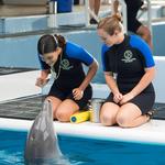 Clearwater Marine Aquarium