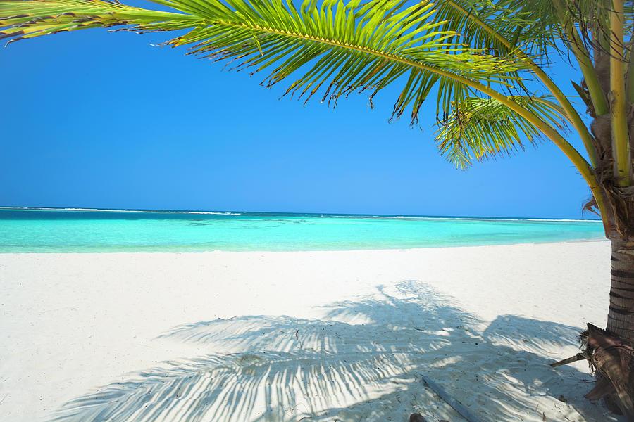 The Wedding Website of Terrah Palmer and Michael Palmer