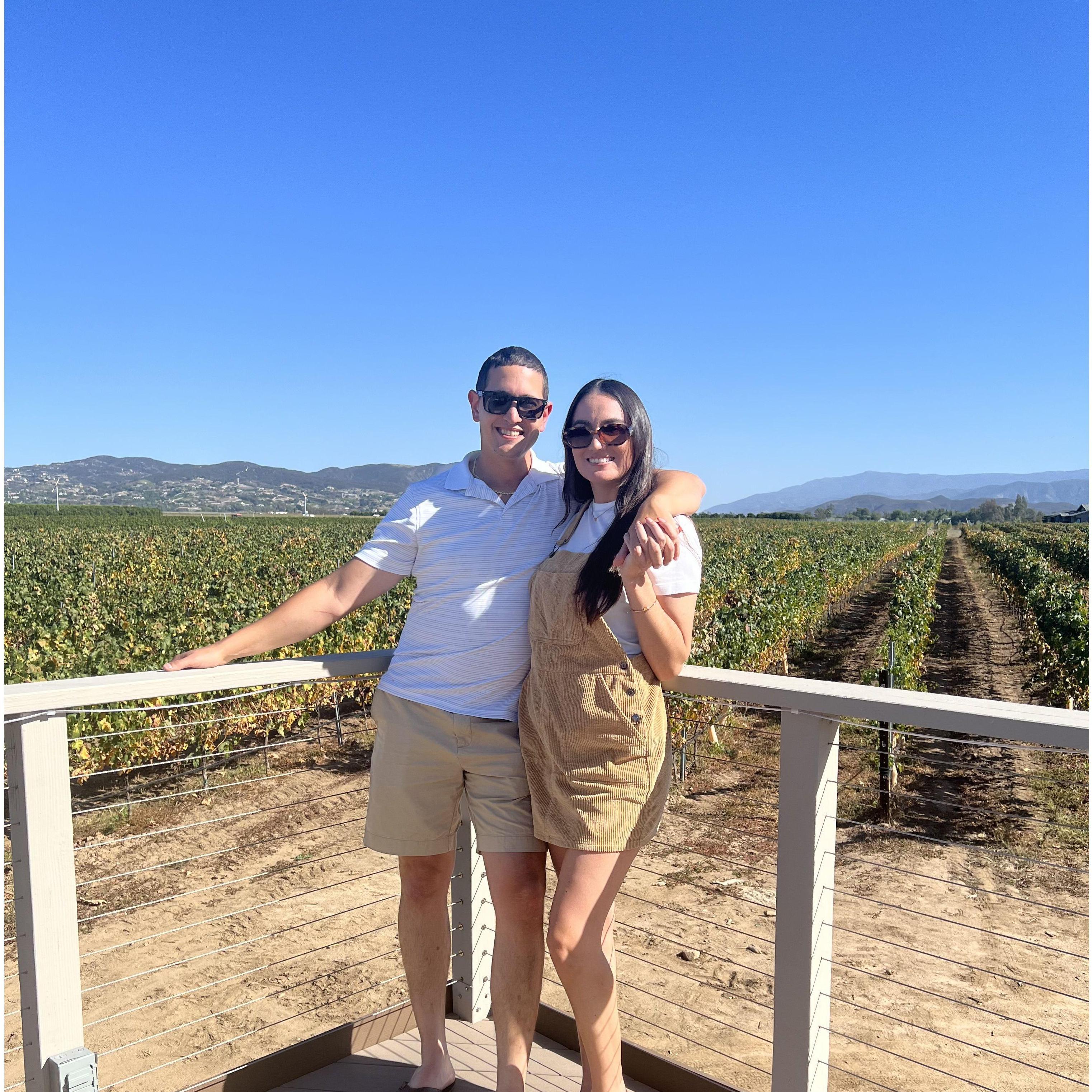 Lunch at Ponte Winery