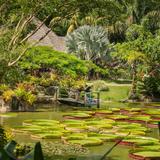 La Rinconada Ecoparque y Restaurante