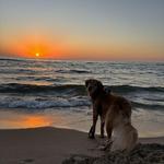 Saugatuck Dunes State Park