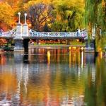 Boston Public Garden