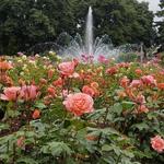Peninsula Park Rose Garden