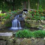 Springfield-Greene County Botanical Center