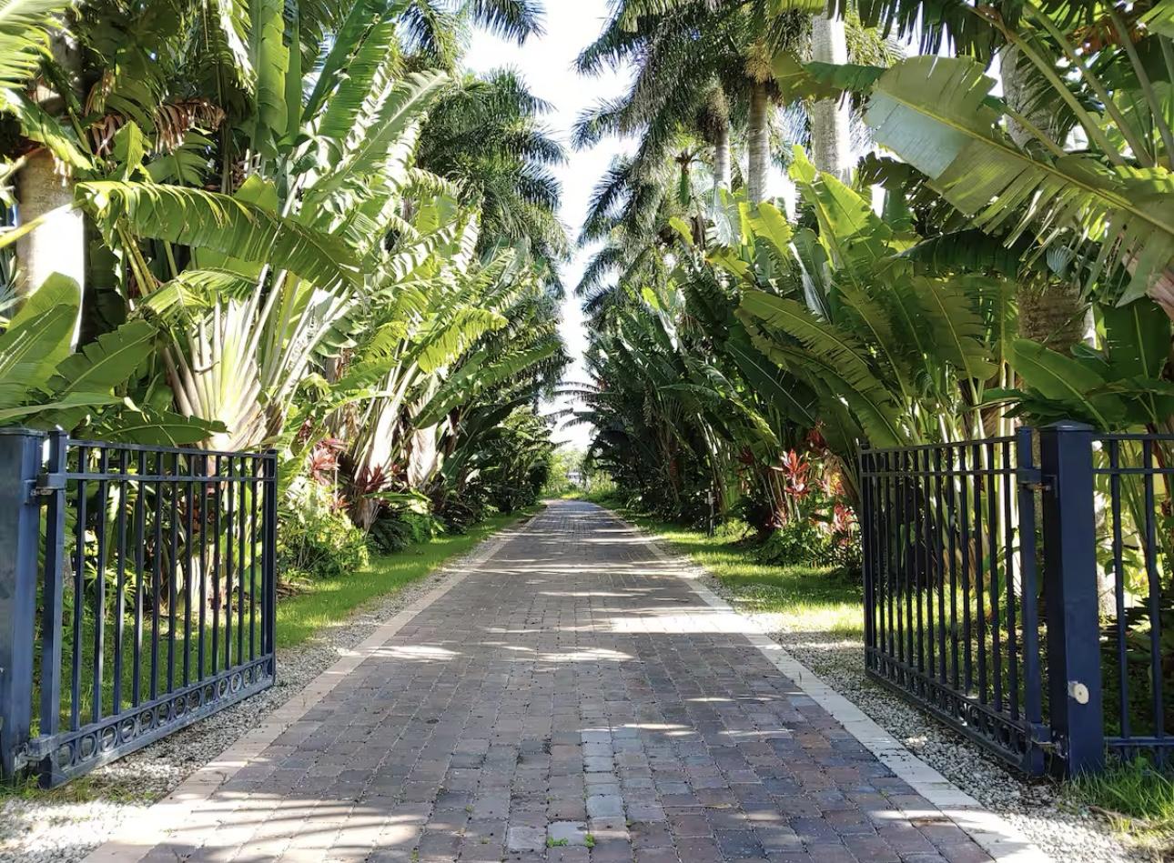 The Wedding Website of Gloria Feliz and Franklin-Paul Vides