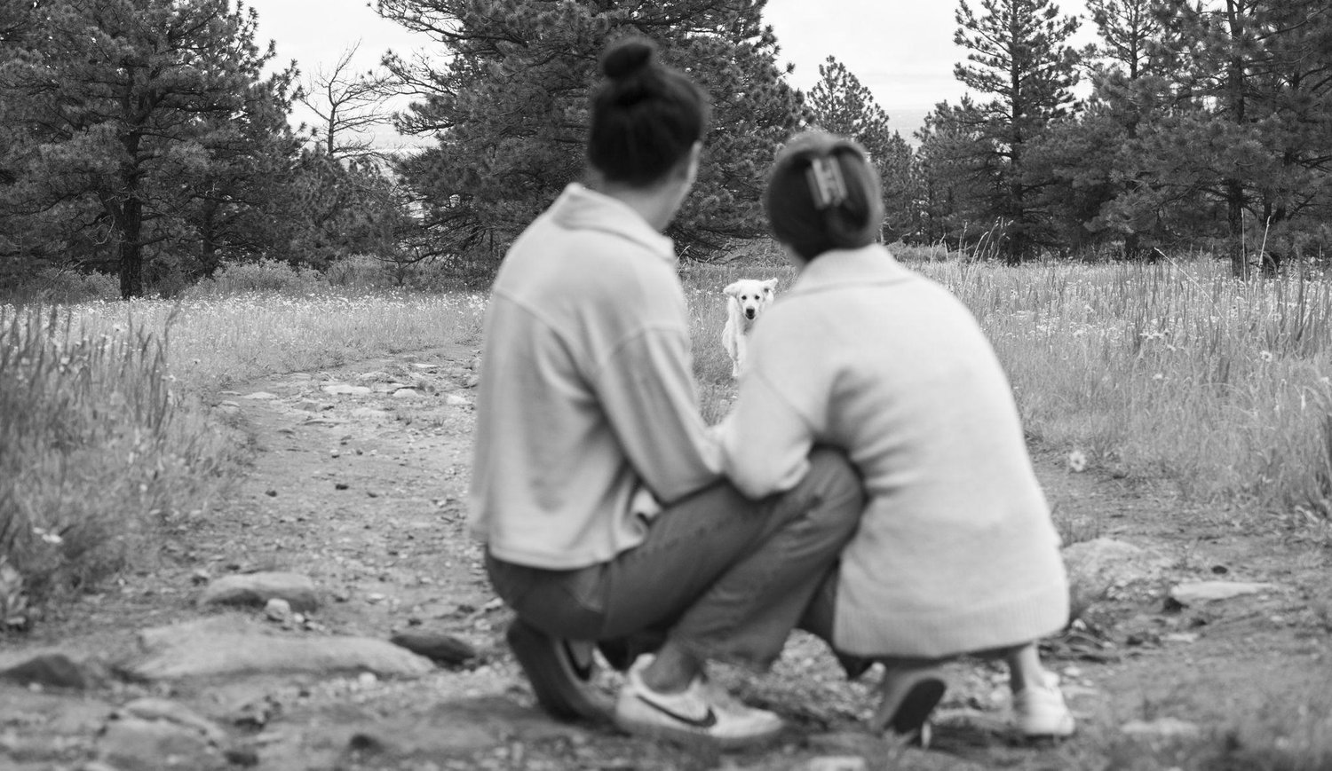 The Wedding Website of Hannah Bradsell and Alyssa Rainey