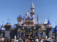 Disneyland Park
