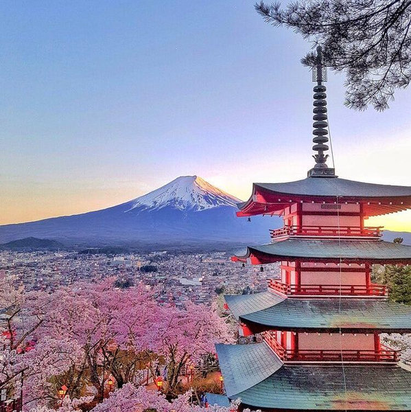 Our Honeymoon Fund: JAPAN
