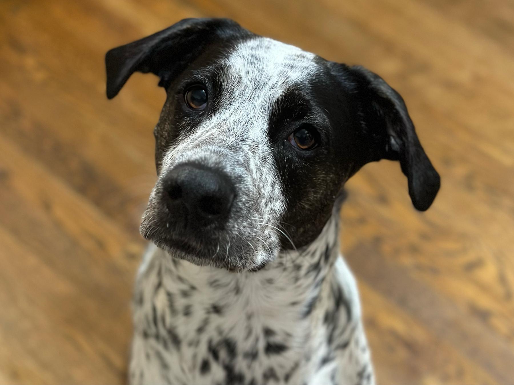 The Wedding Website of Laura Jacobs and John Lewis