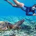 Snorkling, Scuba Diving, and Boat Tours