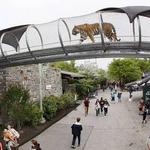 Philadelphia Zoo