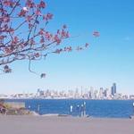 Don Armeni Boat Ramp