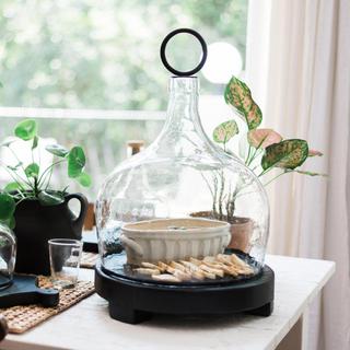 Glass Cloche