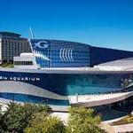 Georgia Aquarium