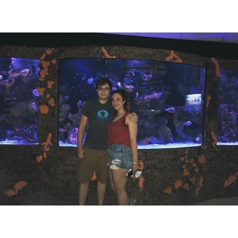 Norwalk Aquarium - August 2018:
Fish are friends, not food