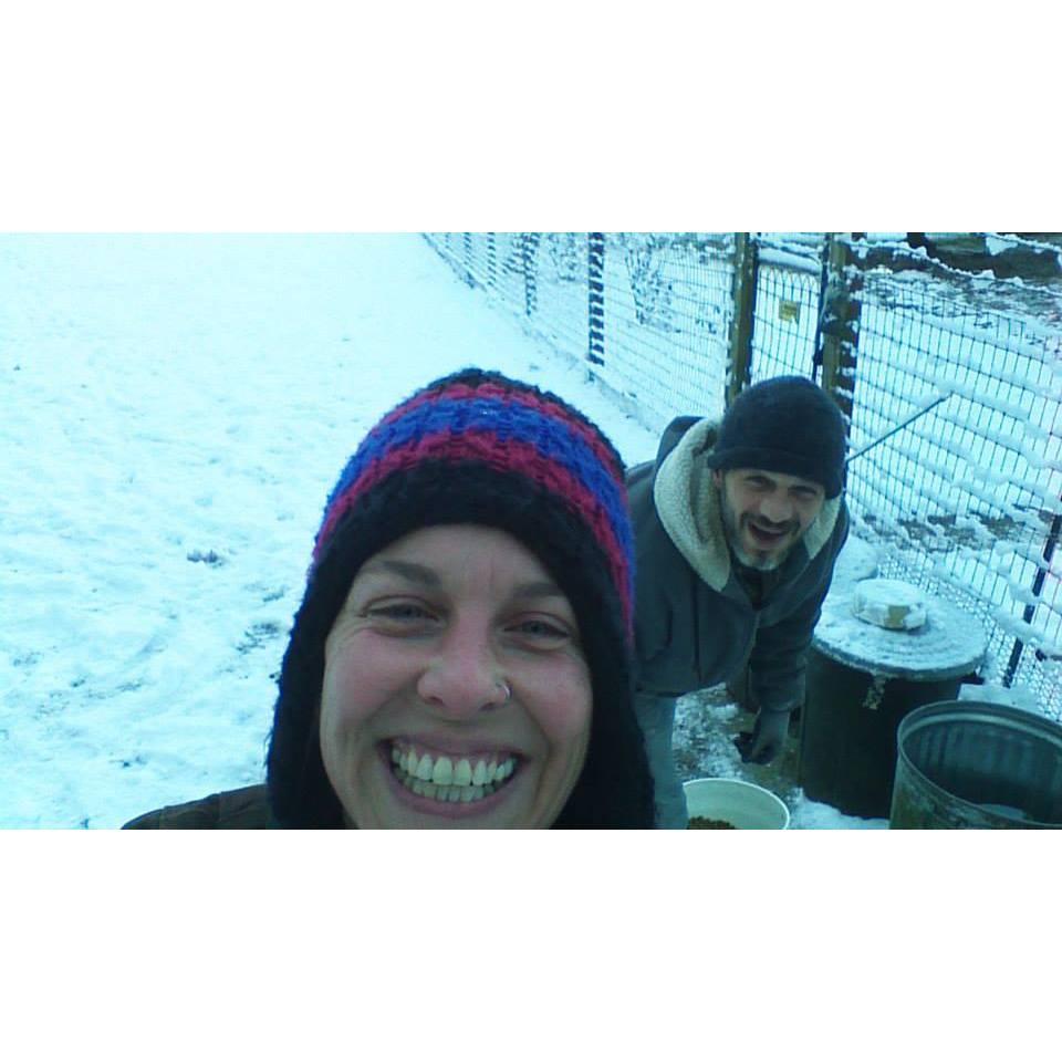 snowy shenanigans at the feed station