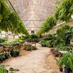 Botanic