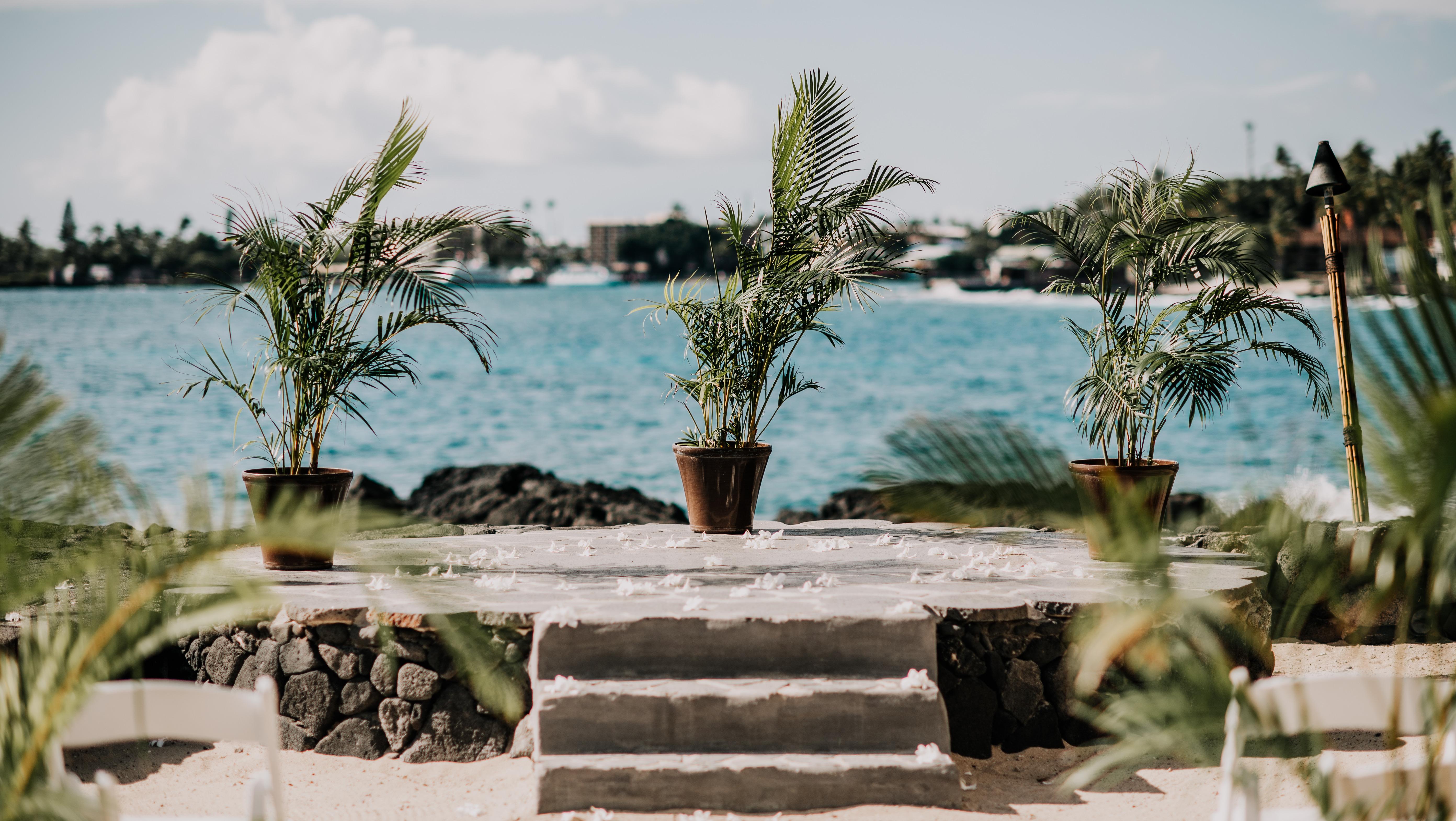 The Wedding Website of Brooke Terry and Calvin Moser