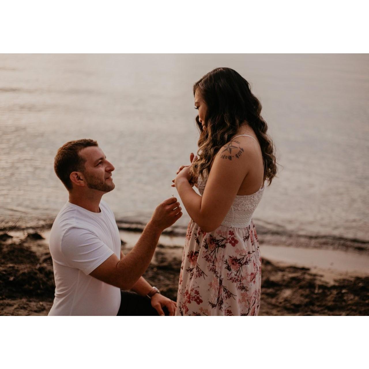 The "proposal" August 2020