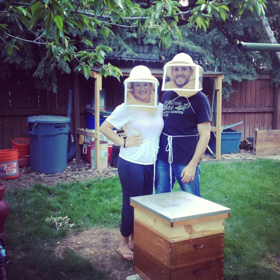 Our first set of bees 2013