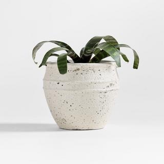 Malta Indoor/Outdoor Planter