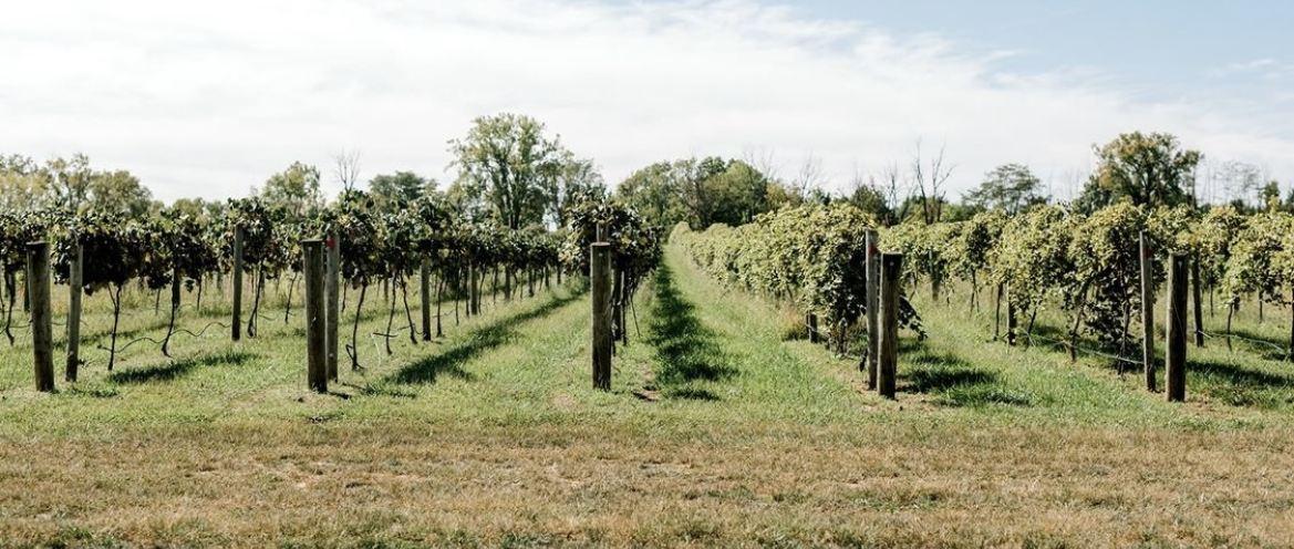 The Wedding Website of Bethany Covington and Rob Vickers