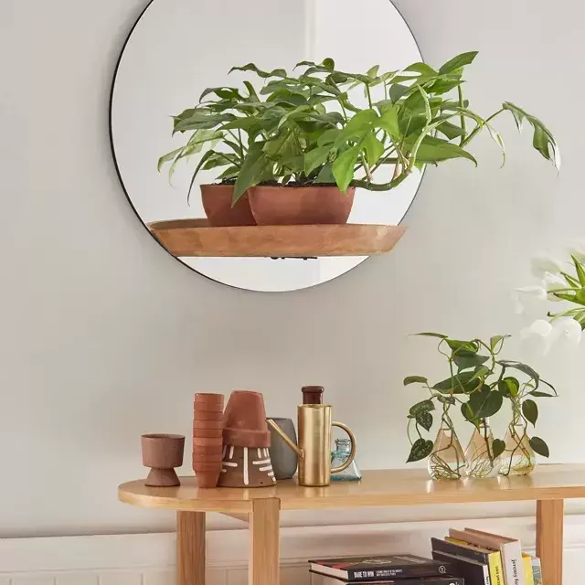 Carley Mirror Wall Shelf
