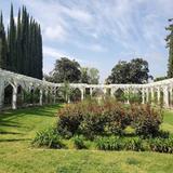 Lacy Park