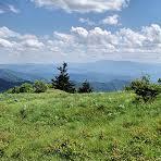 Hiking Trails