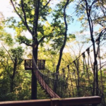 Red Mountain Park