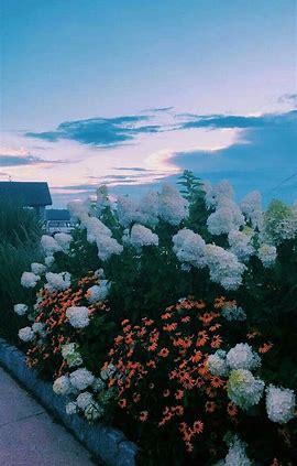 The Wedding Website of Vivian Coy and Maximus Eskew