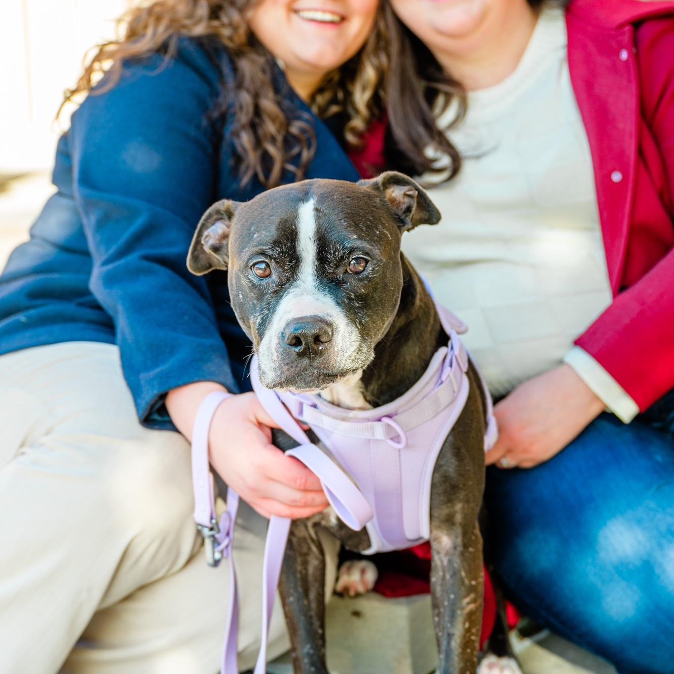 Lizzie has always been a dog person but Alyssa never was until she met Lizzie and Dougie.