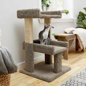 FRISCO 32-in Real Carpet Solid Wood Cat Tree with Toy, Gray - Chewy.com