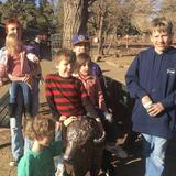 Grand Canyon Deer Farm