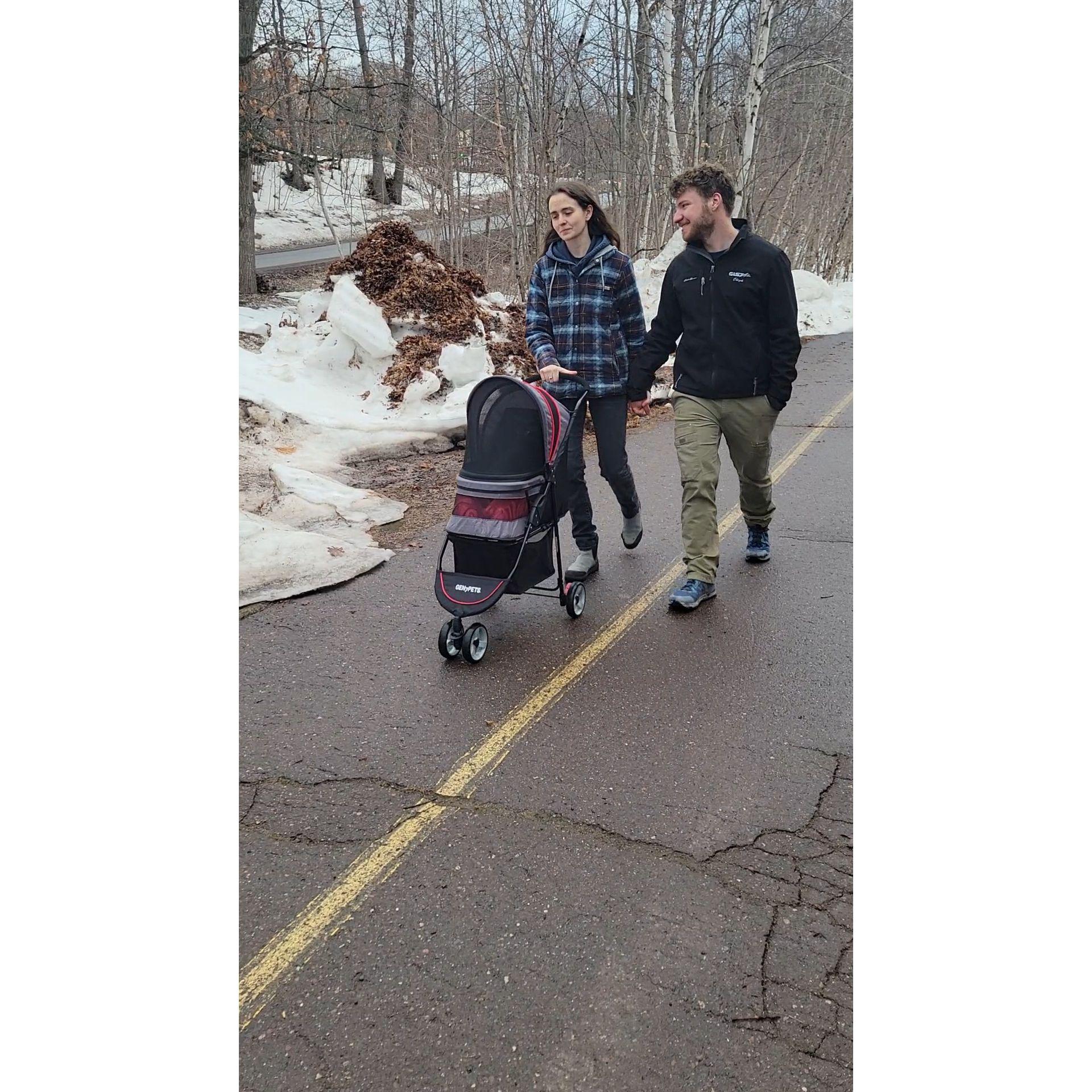Taking Sir Maximus Rex on his first walk in his new stroller