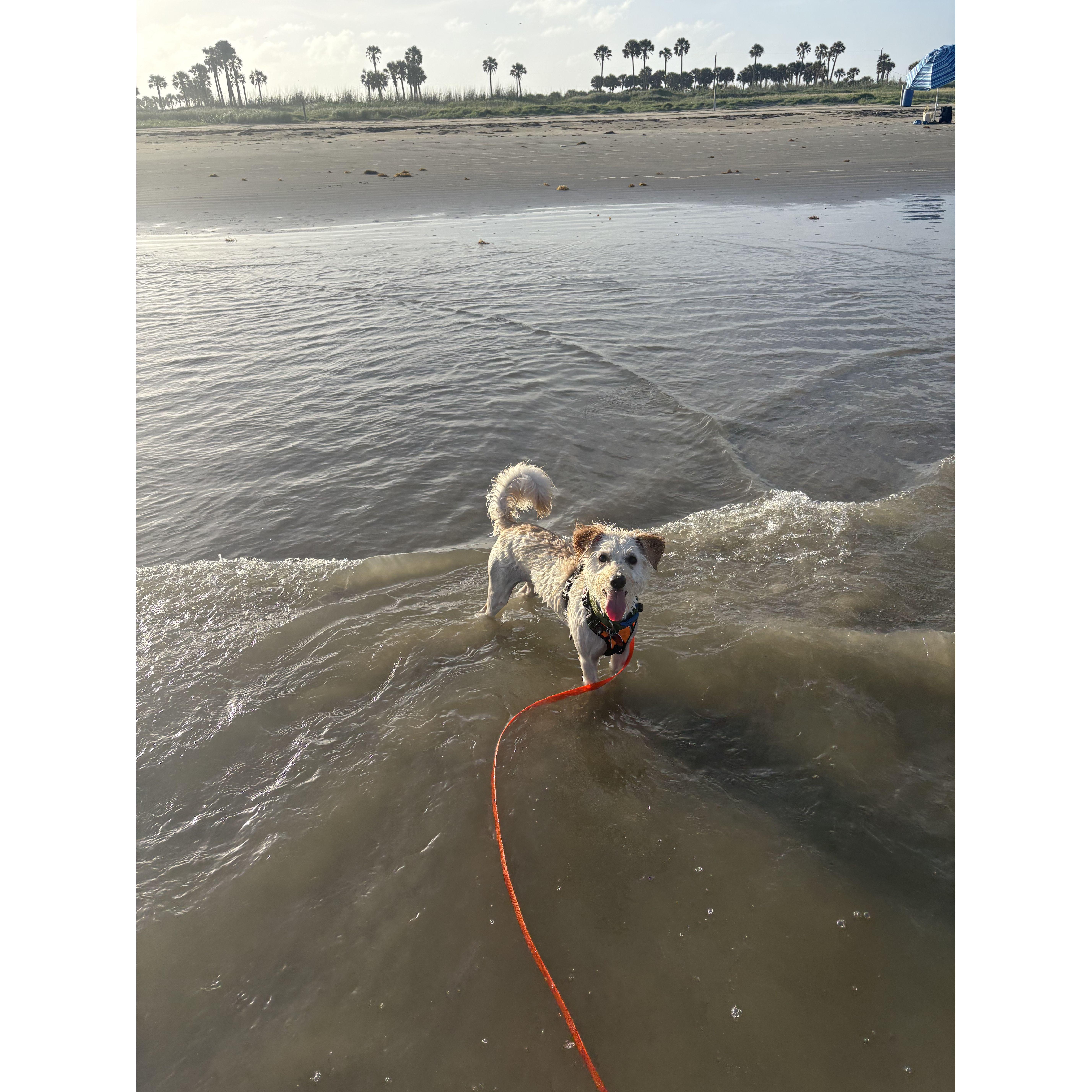 Deker at Surfside Beach