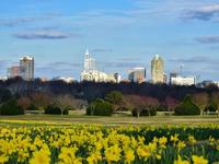 Dorothea Dix Park