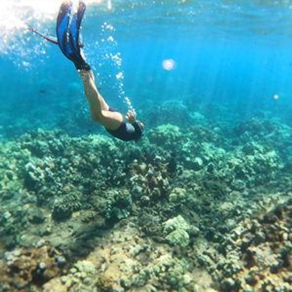 Snorkel Trip in Maui
