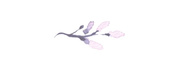 The Wedding Website of Amelia Austen and Tyler Woolf