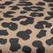 Leopard/black