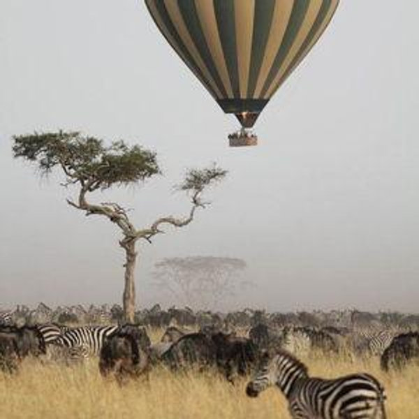 Serengeti Excursions