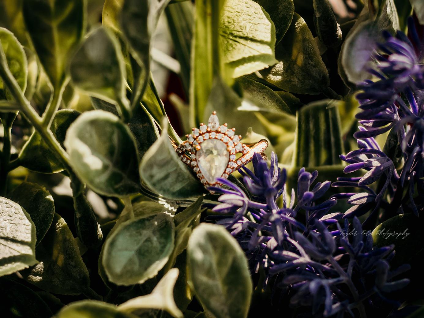 The Wedding Website of Jeannette Carmel and Devin Kennedy