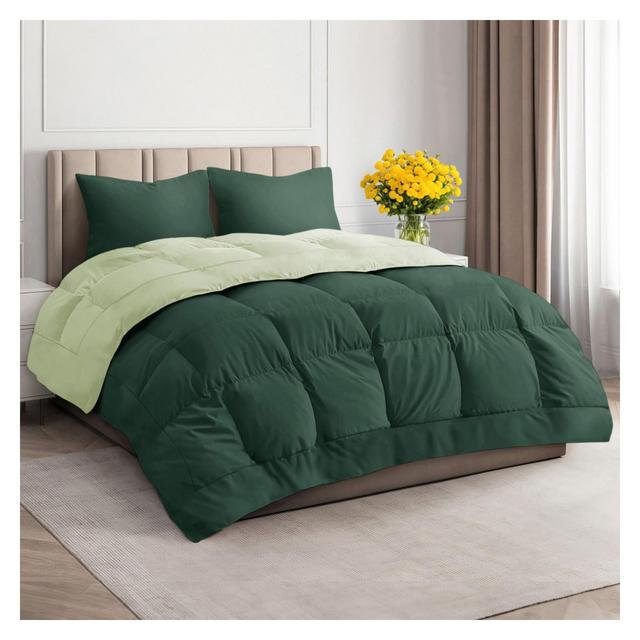 CGK Linens Premium Down Alternative Comforter - All Season Fluffy & Oversized Duvet Insert in Emerald/Light Sage Green, Size California King