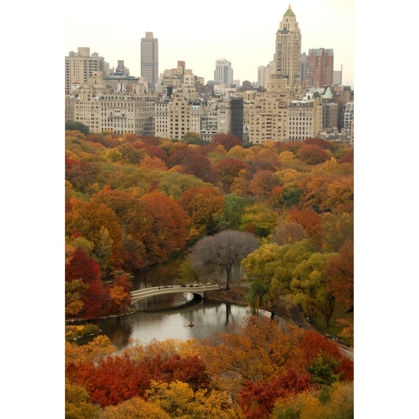 Otra foto de Central Park mostrando los colores que posiblemente tengamos de fondo. Esperamos esto sirva de "inspo" para su outfit.