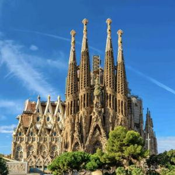 Park Guell and Sagrada Familia Tour (Honeymoon)