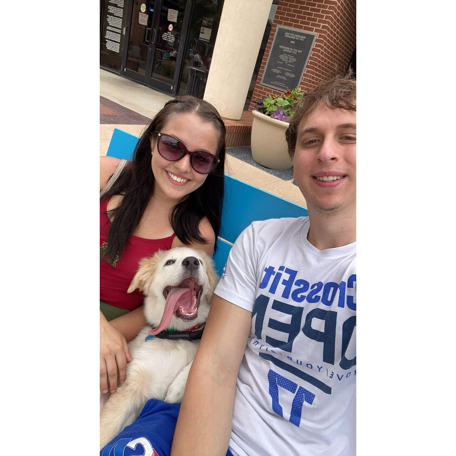 Decided to keep a puppy and named him Flynn