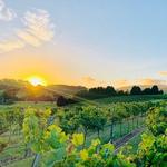 Crooked River Winery